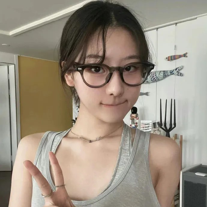隐藏的面孔 海报